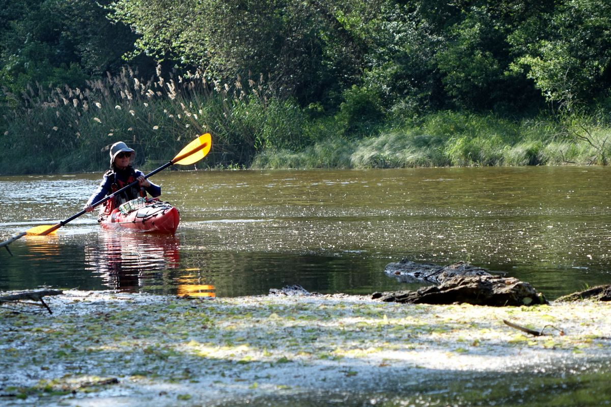 Nationalpark Donauauen